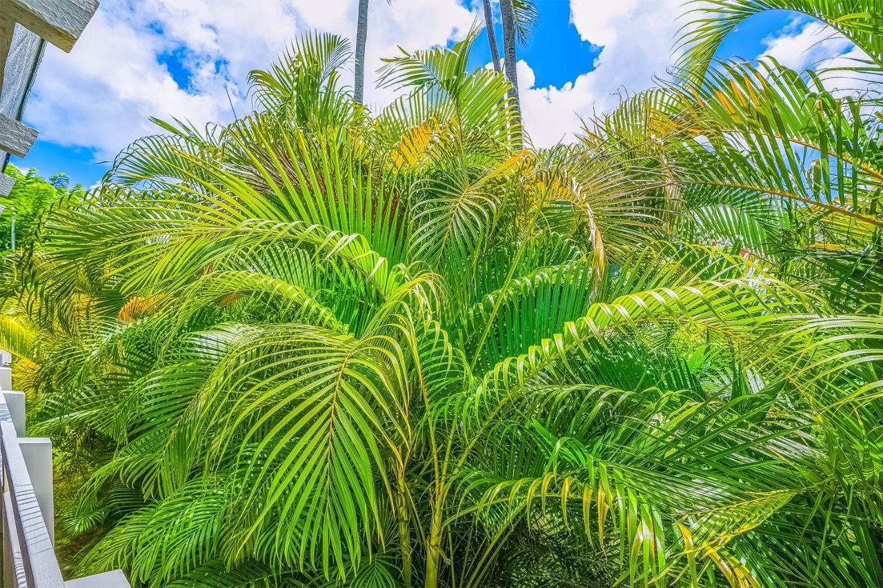 شقة Plantation Hale A10 كابا المظهر الخارجي الصورة